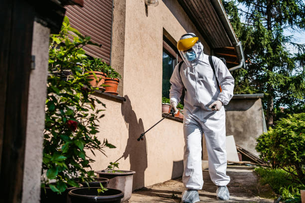 Best Bed Bug Extermination  in Menard, TX