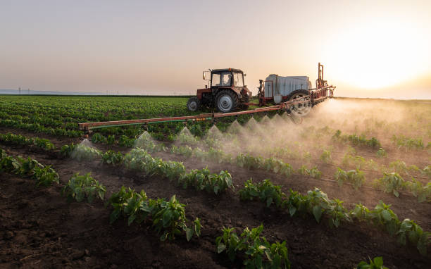 Best Pest Removal Services  in Menard, TX
