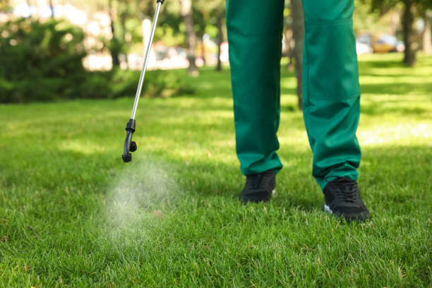 Best Termite Control Services  in Menard, TX
