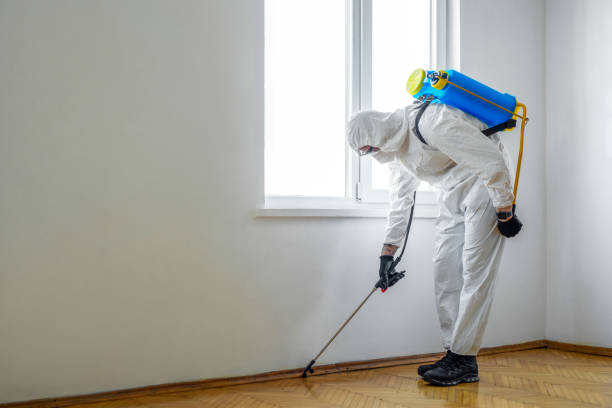 Best Insect Control  in Menard, TX
