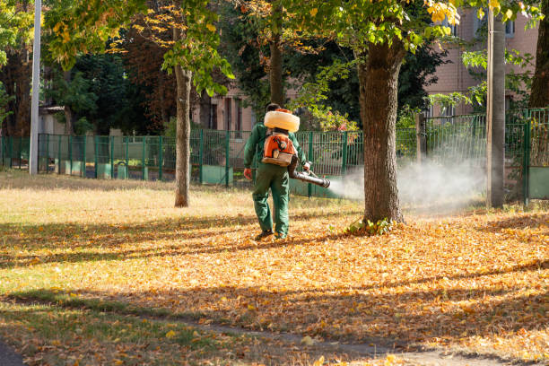 Best Pest Control Near Me  in Menard, TX